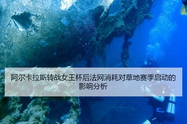 a-er-ka-la-si-zhuan-zhan-nv-wang-bei-hou-fa-wang-xiao-hao-dui-cao-di-sai-ji-qi-dong-de-ying-xiang-fen-xi-2-905.jpg